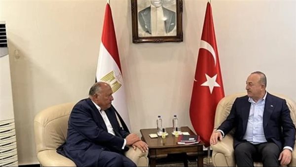 وزراء الخارجية المصري