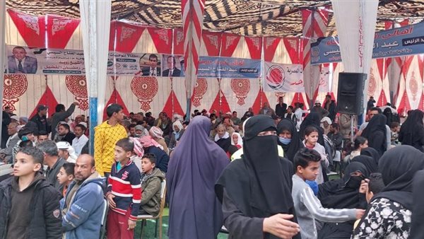 مجموعة أبناء سيناء