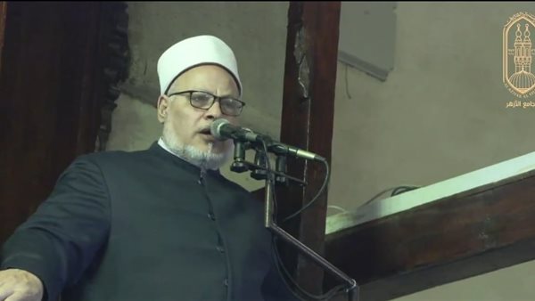 الدكتور إبراهيم الهدهد