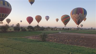 60 رحلة بالون طائر تزين سماء الأقصر بـ 1500 سائح صباح اليوم
