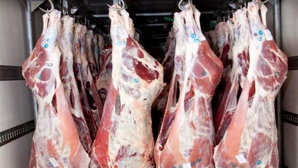 لحوم - أرشيفية 