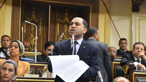 عمرو درويش عضو مجلس