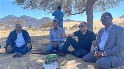 البيئة: إعداد خطة متكاملة بالمحميات تشمل الاستغلال الأمثل اقتصاديًا لها