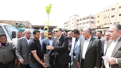 الشرقية تستعد لـ زراعة 270 ألف شجرة ضمن المبادرة الرئاسية| تفاصيل