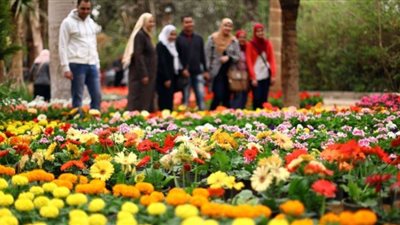 الأرصاد: غدًا نهاية فصل الشتاء وبداية الربيع يوم الثلاثاء المقبل