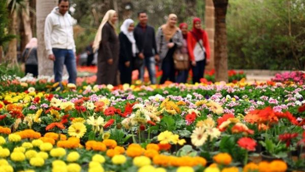  فصل الربيع- صورة