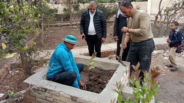 أثناء زراعة الأشجار