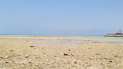 للـيوم الثالث.. انحسار مياه البحر على شواطئ الغردقة يكشف كنوزًا بحرية نادرة بفعل ظاهرة الجَزر