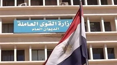 القوى العاملة تعلن شروط التقديم على 130 فرصة عمل لذوي الاحتياجات الخاصة | بث مباشر