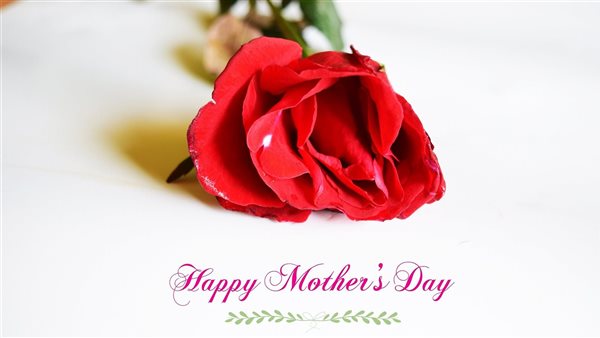 تهنئة ست الحبايب