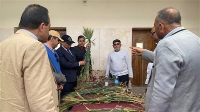 رئيس جامعة المنيا يعلن البدء في تدشين وحدة لتسمين الماشية