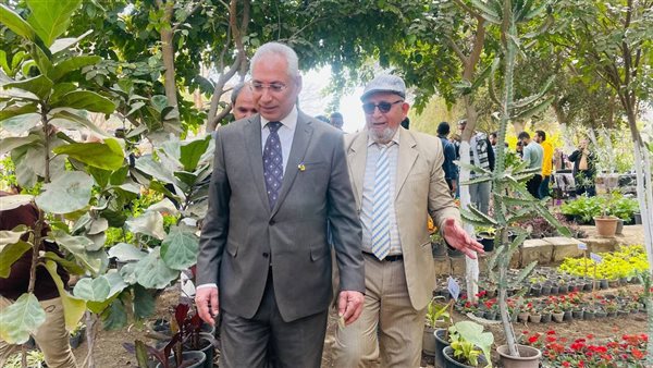 جامعة المنيا