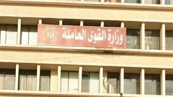 القوى العاملة