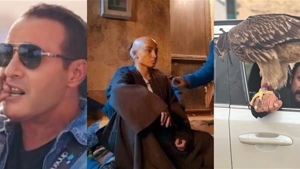 أحمد العوضي - روجينا