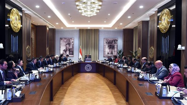 رئيس الوزراء يلتقي