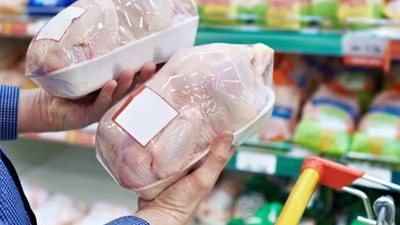 البرازيلي بـ65 جنيها.. أسعار الدواجن المجمدة اليوم السبت 25 مارس 2023