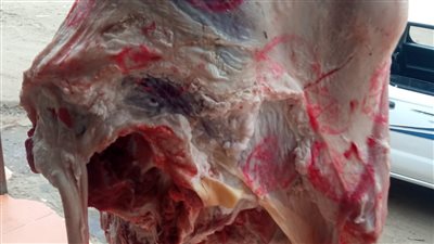 ضبط 8 محلات جزارة لعرض لحوم غير صالحة للاستهلاك الآدمي بالبحيرة