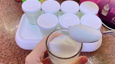 طريقة عمل الزبادي في البيت فاطمة أبو حاتي.. فتح الفرن أو الإضاءة تفسد البكتيريا