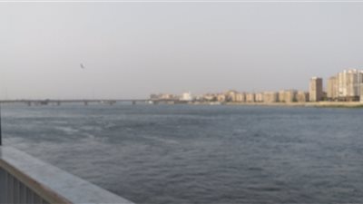 رياح محملة بالرمال والأتربة تضرب عددًا من المناطق بسوهاج | صور