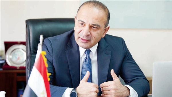 نائب وزيرة التخطيط