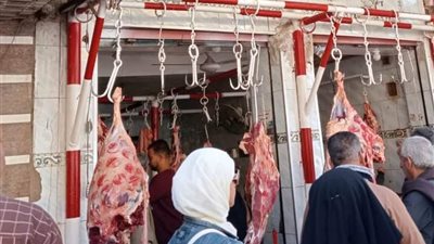 تحرير 48 محضرًا تموينيًا متنوعًا خلال حملة مكبرة بسوهاج |صور