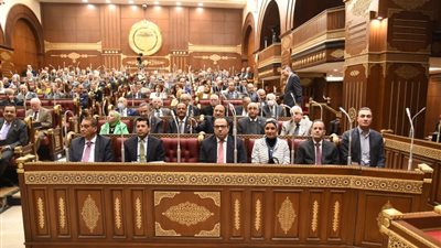 اقتراح برغبة بشأن وضع ضوابط منظمة للتجارة الإلكترونية على مائدة الشيوخ اليوم