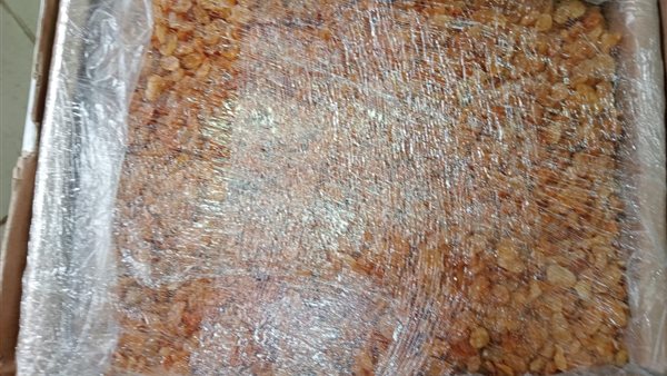 جانب من الحملة 