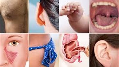 أبرزها الطحال والبنكرياس.. تعرف على أعضاء يمكن العيش بدونها