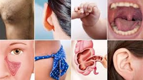 أعضاء يمكن العيش