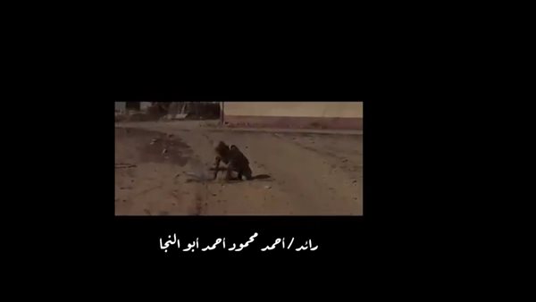 جانب من المشاهد