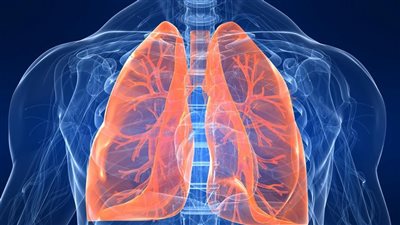 خبراء الصحة يكشفون عن فوائد ممارسة التمارين الرياضية لصحة الرئتين