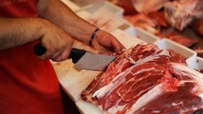 إيطاليا تتجه لحظر اللحوم المزروعة ضمن حملة لحماية المنتجات الوطنية 