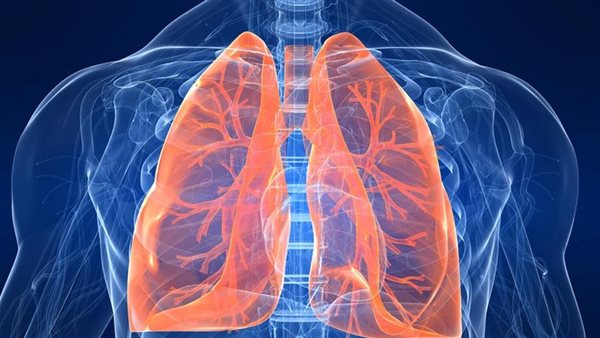 رسم للرئتين - أرشيفية