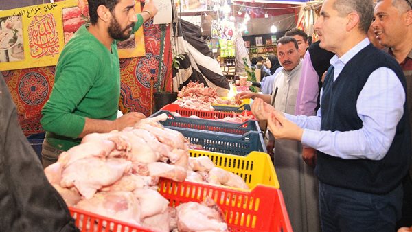 محافظ الغربية يتفقد