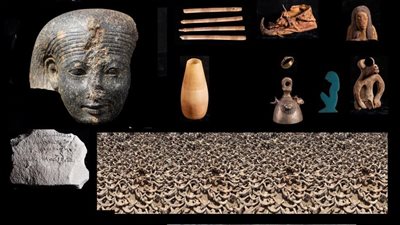 تأكيدًا لـ القاهرة 24.. نقل الـ 2000 رأس كبش المُحنطة بسوهاج إلى مخازن وزارة الآثار 