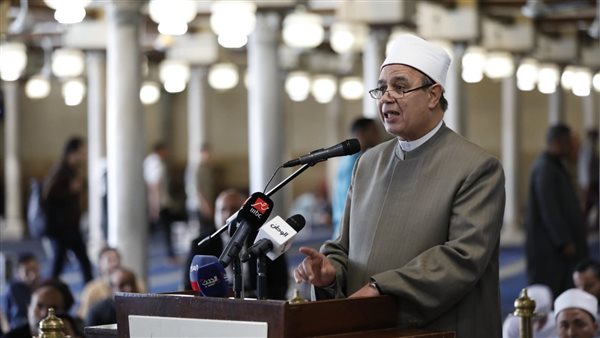 الدكتور عبد المنعم