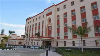 بسبب الميراث.. القصة الكاملة لمقتل شاب علي يد شقيقه طعنا بالسكين في المنيا