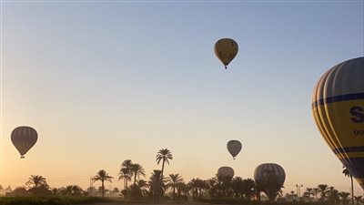 تحليق 55 رحلة بالون طائر على متنها 1350 سائحا بالأقصر