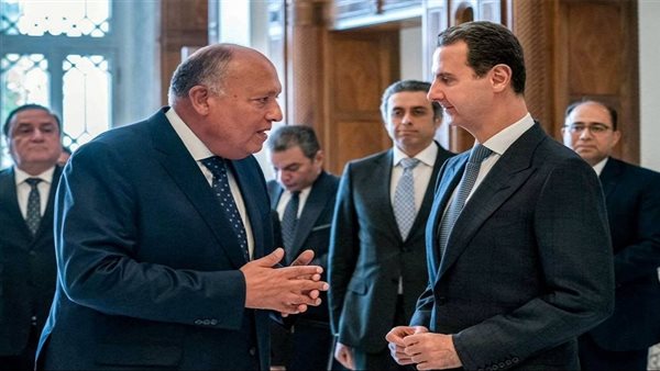 شكري يلتقي الأسد