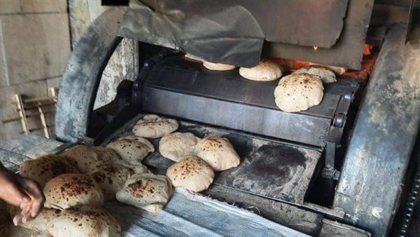 حملات تفتيشية بالمنيا