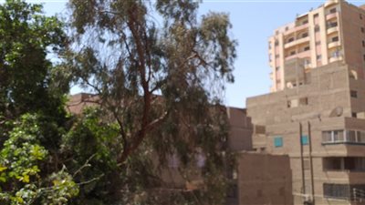 رياح متوسطة الشدة تضرب سوهاج.. وارتفاع في درجات الحرارة 