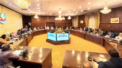 الموافقة على إقامة 11 مشروعا استثماريا توفر 4149 فرصة عمل بالبحيرة 