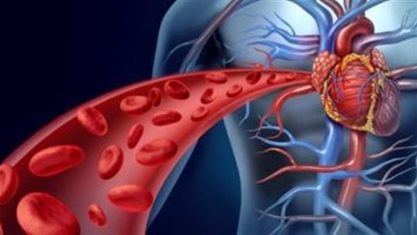 تنشيط الدورة الدموية