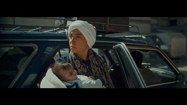 روجينا في مسلسل ستهم