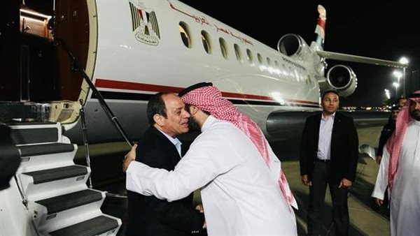 السيسي يلتقي الأمير