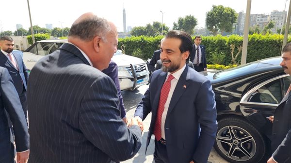 جانب من الاستقبال